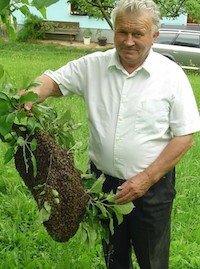 1644177735-RLQZQG-osmrtnica
