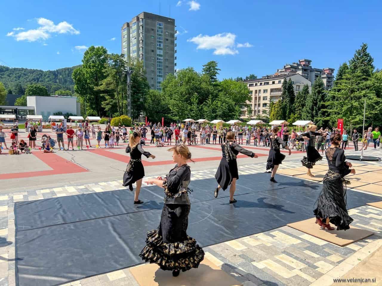 Utrinek s preteklega festivala.