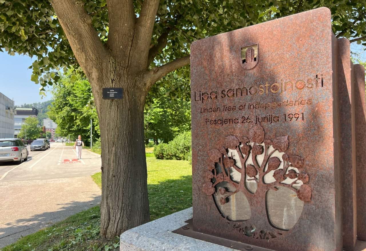 Lipa samostojnosti - Velenje.
