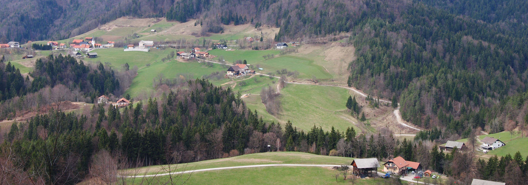 plešivec