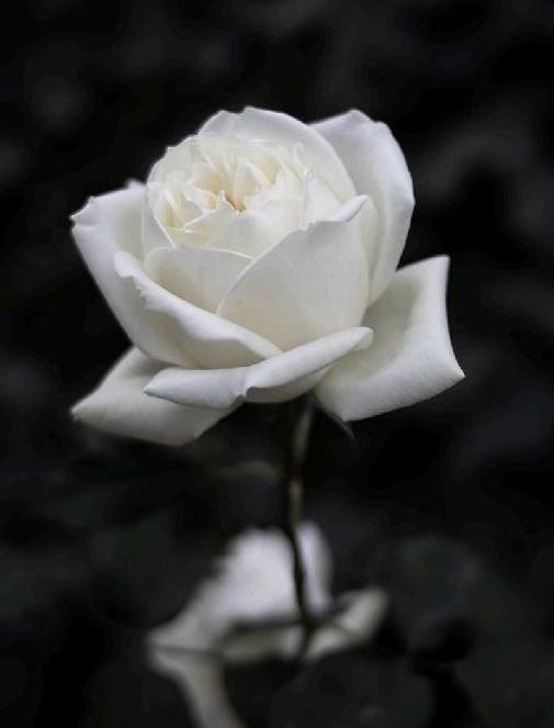 image001