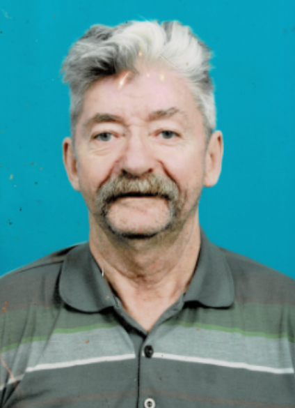 Pirš Vinko, slika