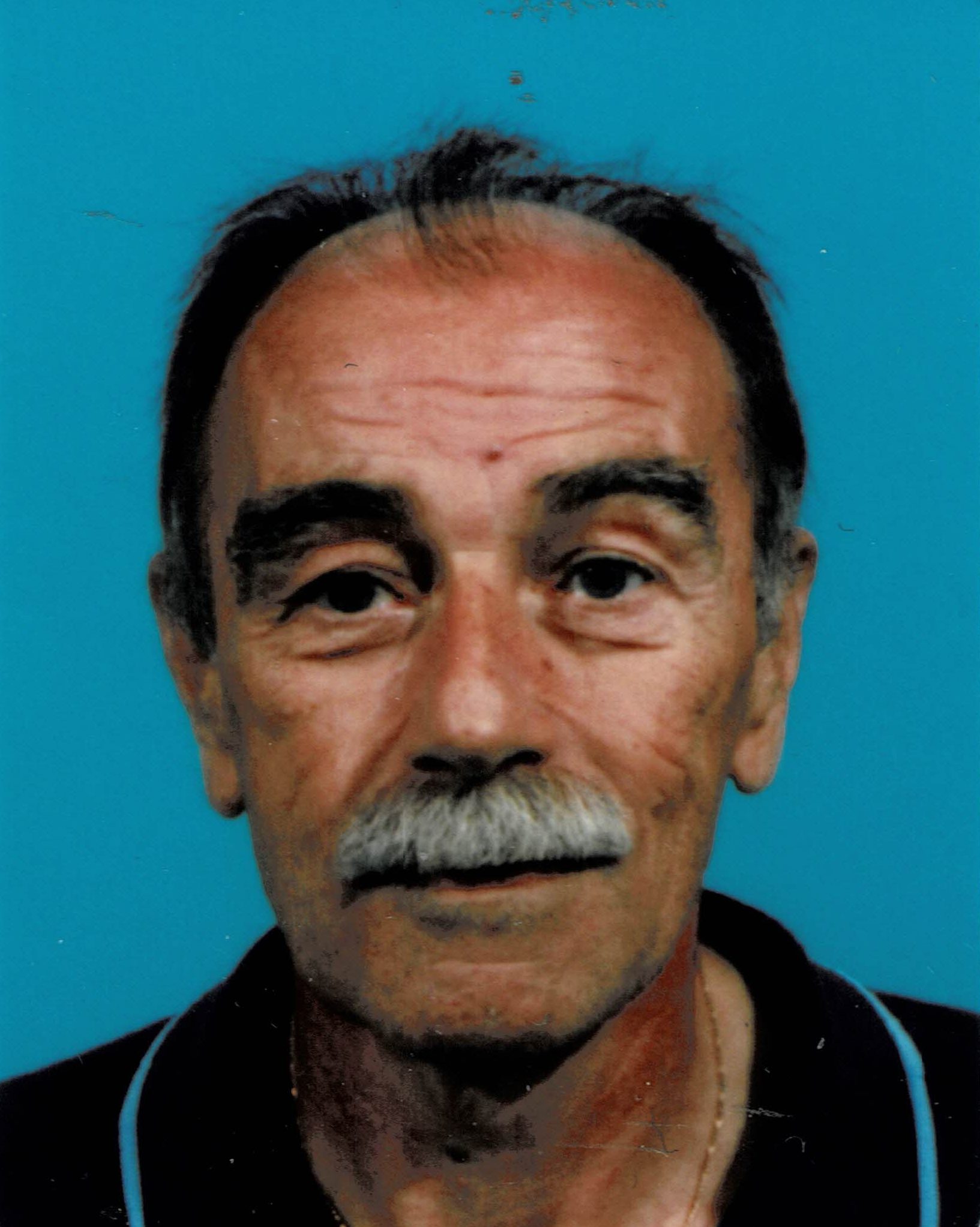 Vodlan slika_20250226_103341_001198