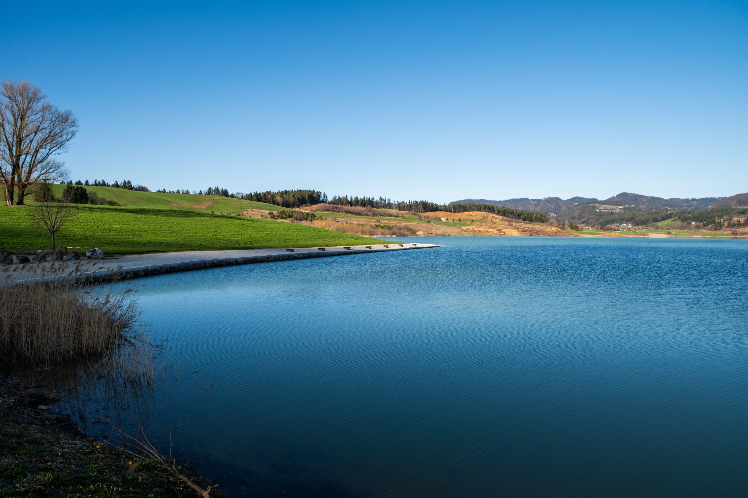 Naslednjo sredo: Javna obravnava predloga DPN za plavajočo sončno elektrarno na Družmirskem jezeru