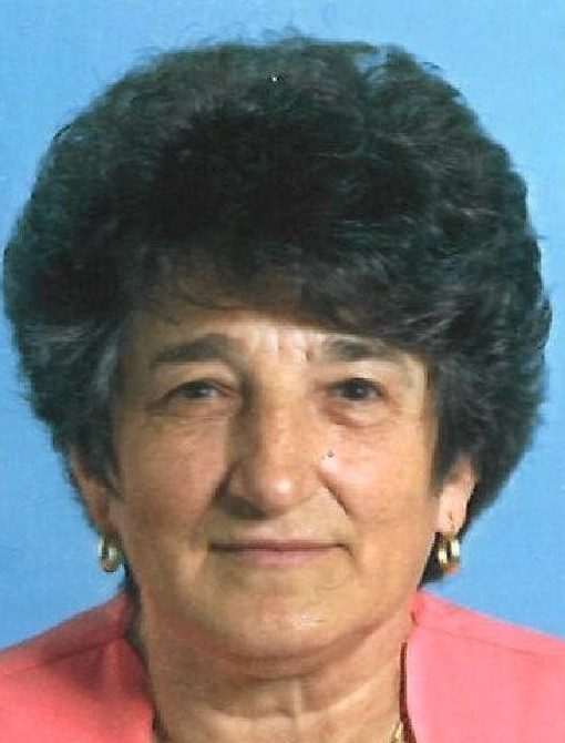 nojinović