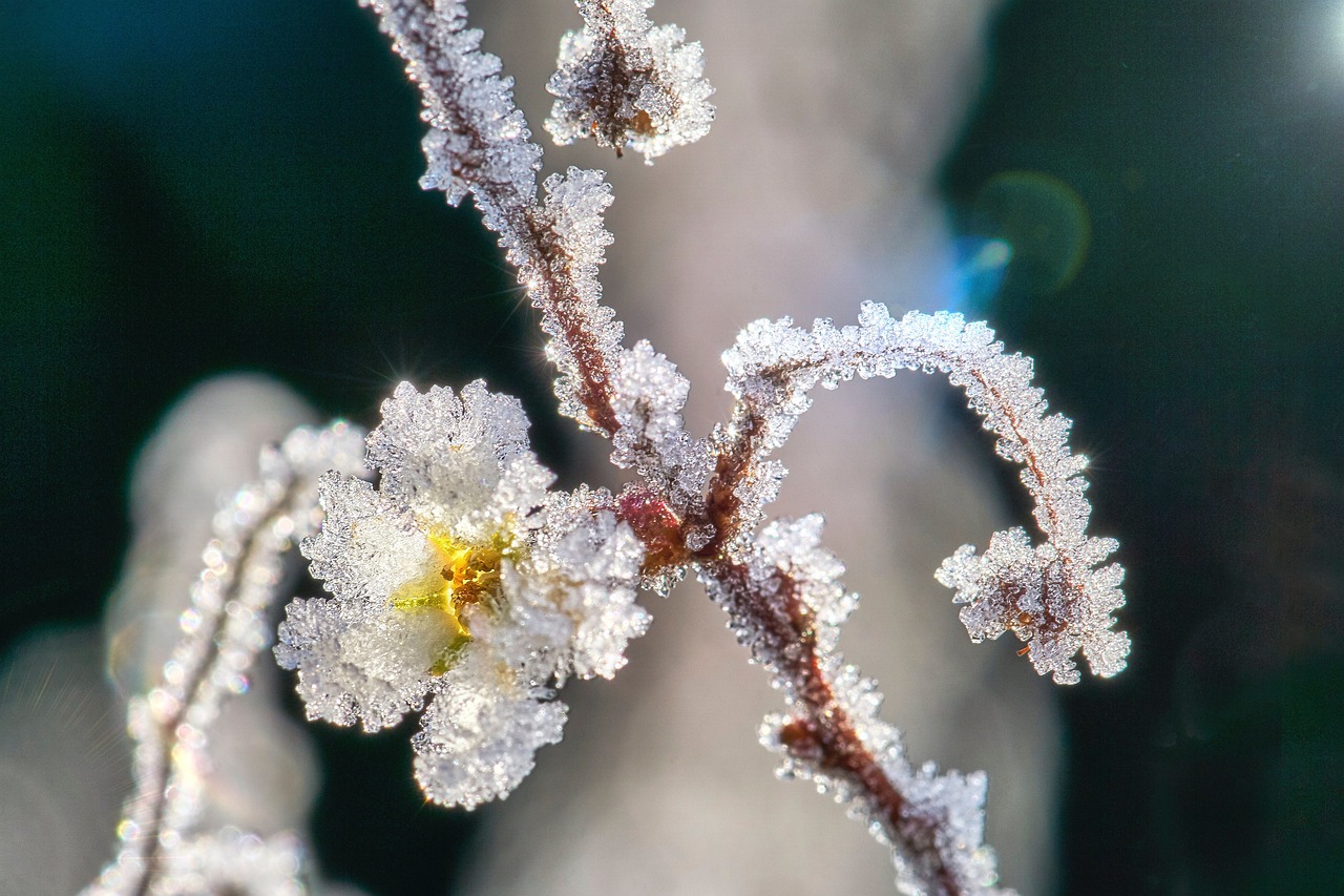 ice-crystals-4814900_1280
