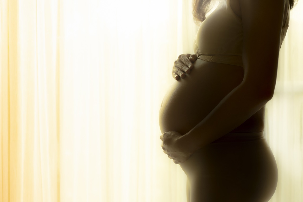 pregnant-4839951_1280