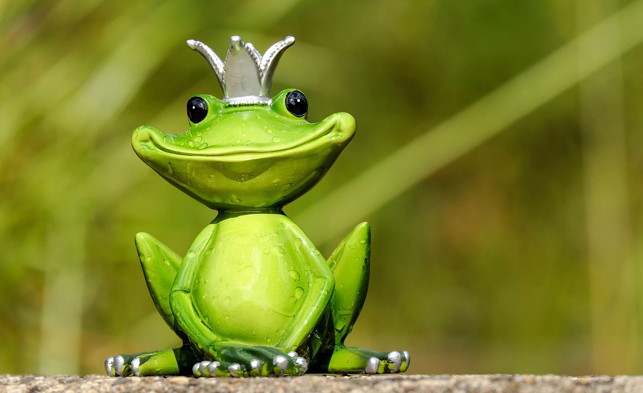 frog-2240764_1280