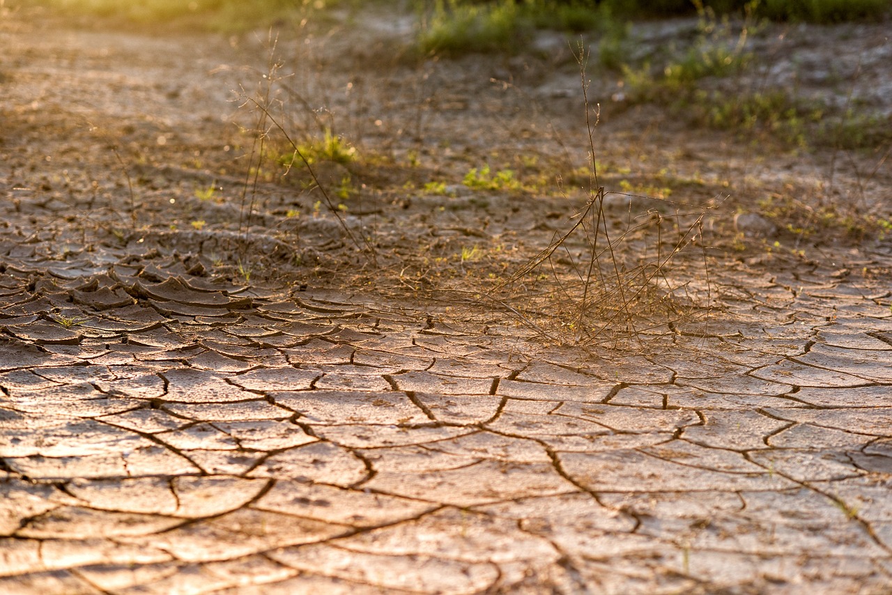 cracked-ground-1844838_1280