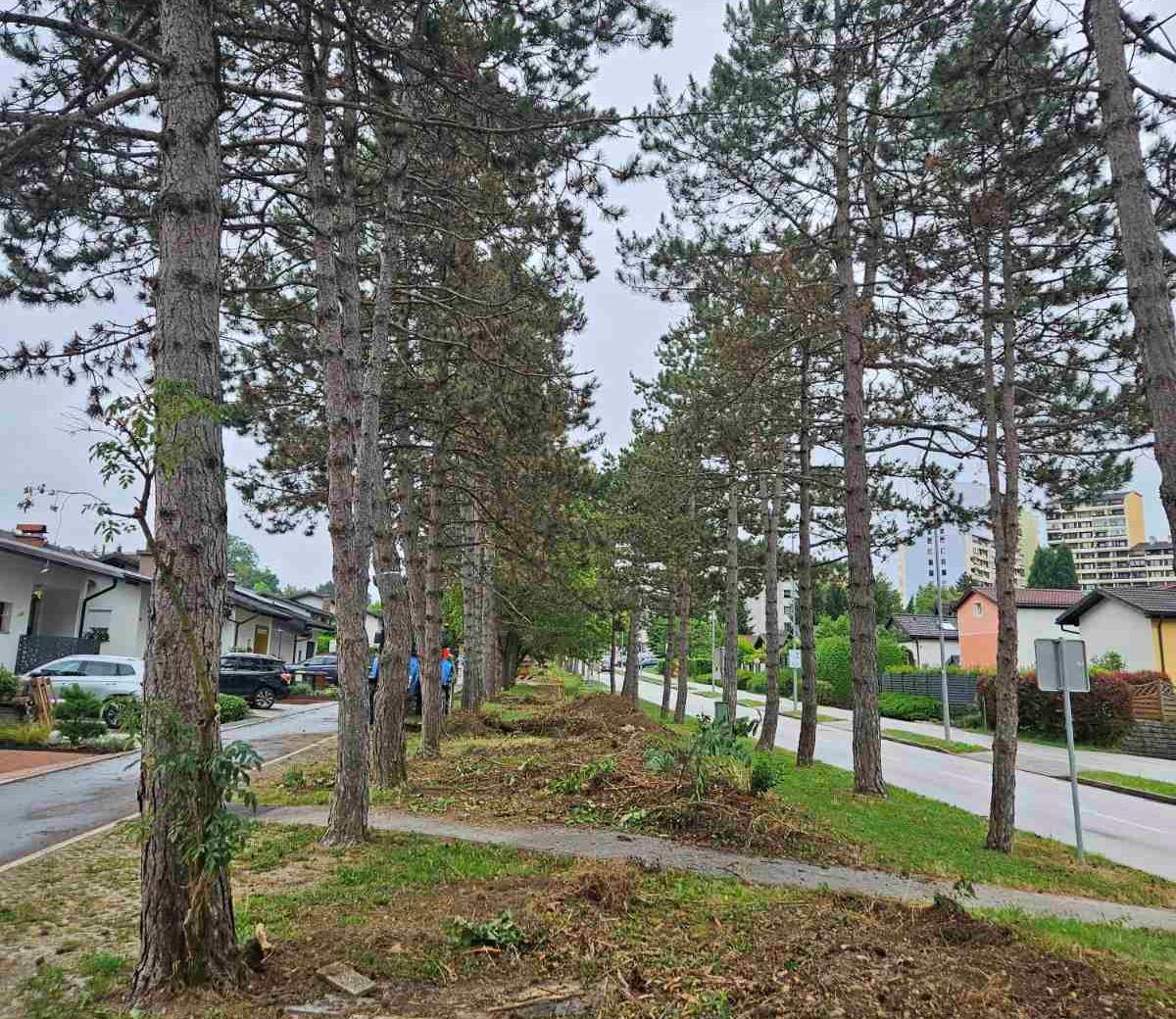 Goriška