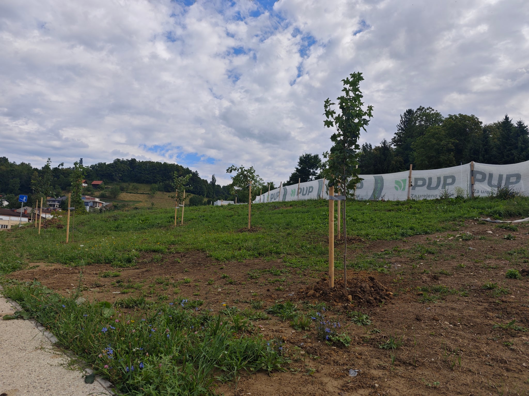 Park Lipa - pomanjšane, julij 2025 (2)