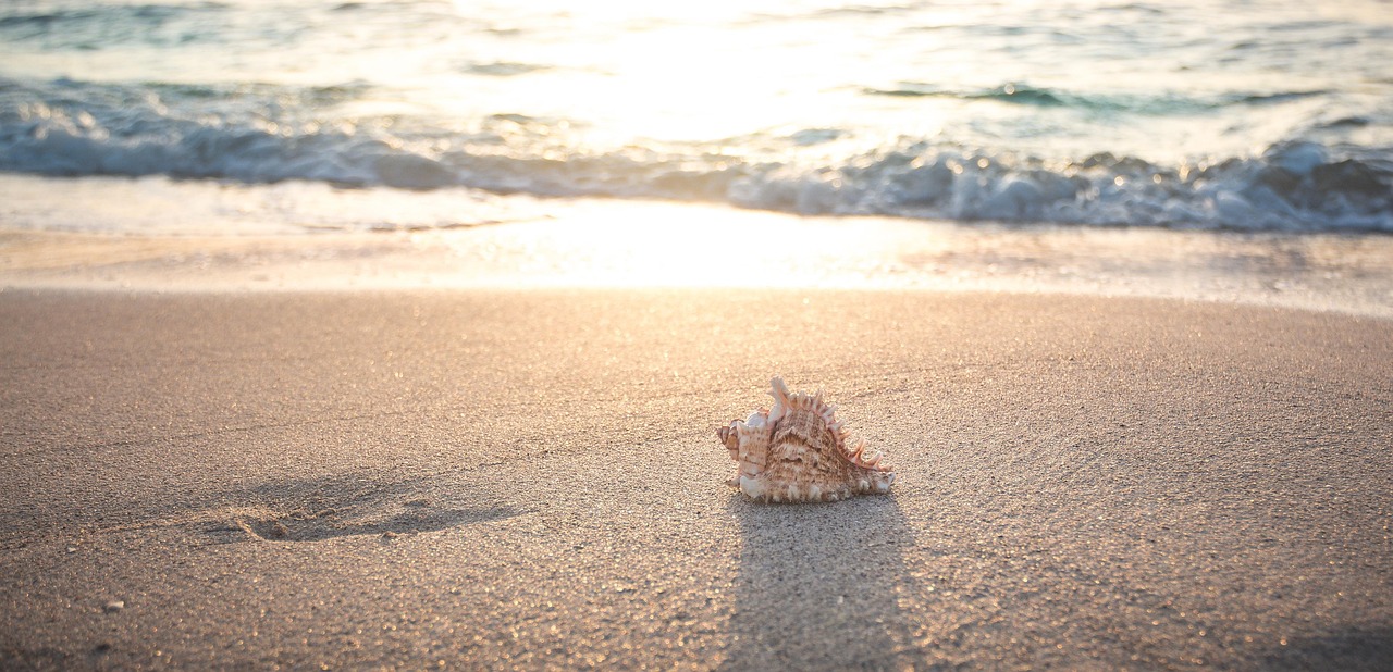 beach-4301479_1280