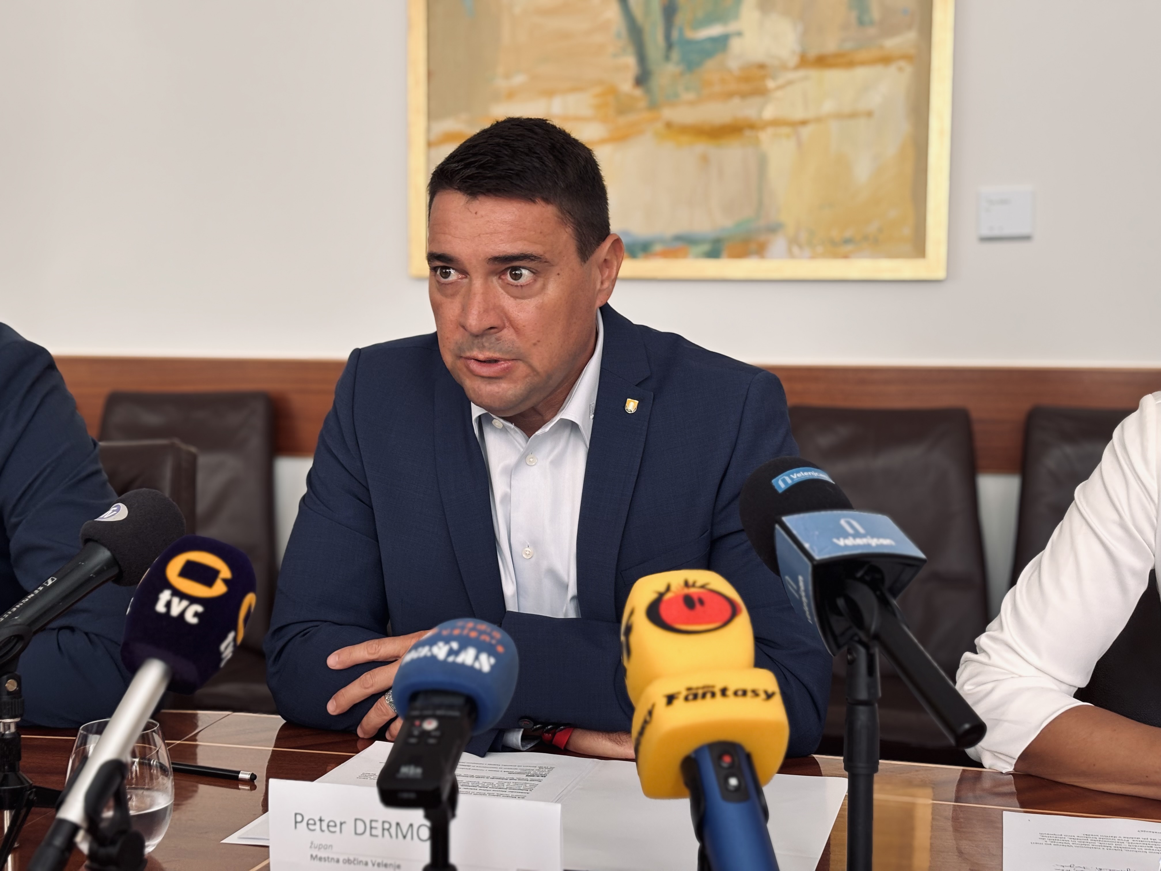 Peter Dermol, knmedia