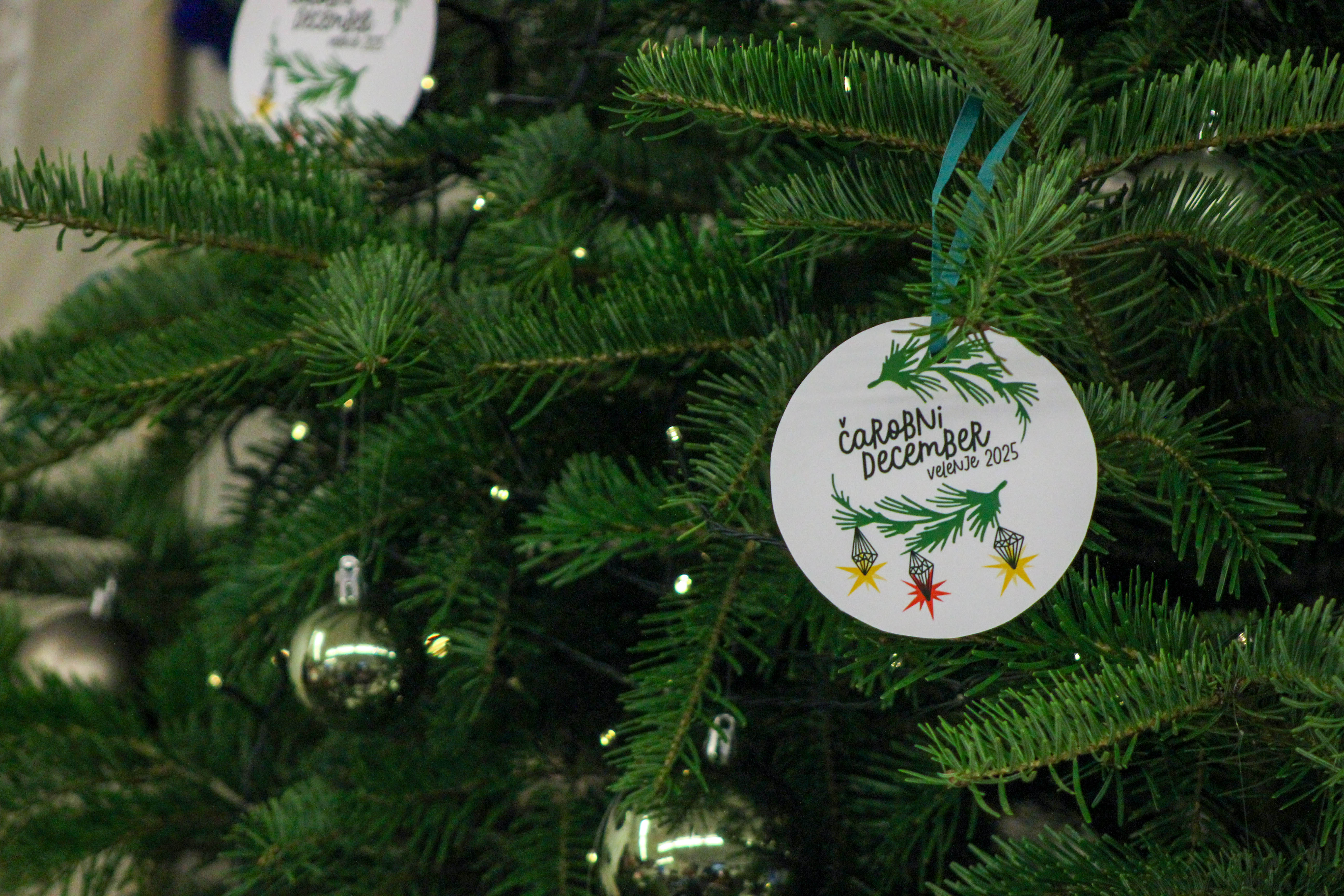 novinarka čarobni december (3 of 17)