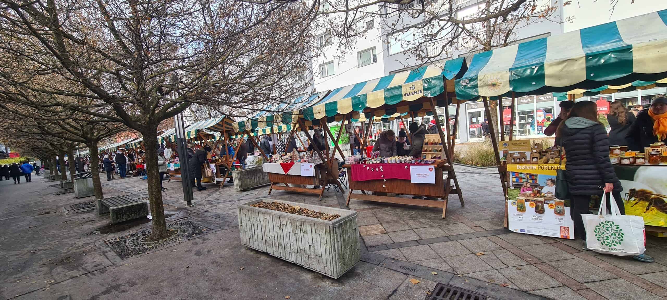 20231209_112433-scaled