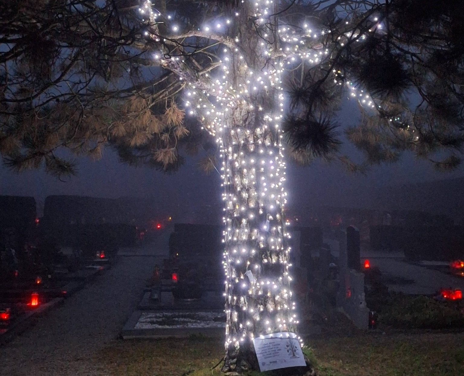 597856451_122157533570681372_3843806967115348501_n