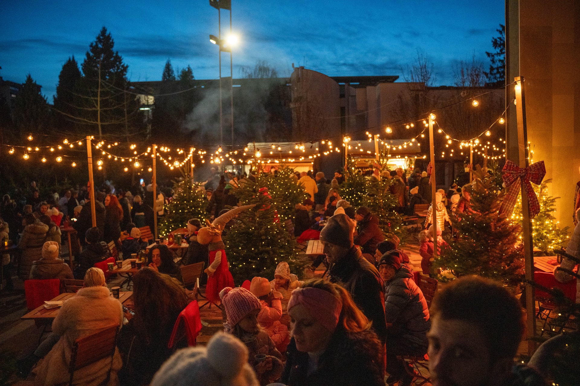 Prižig praznične razsvetljave Velenje