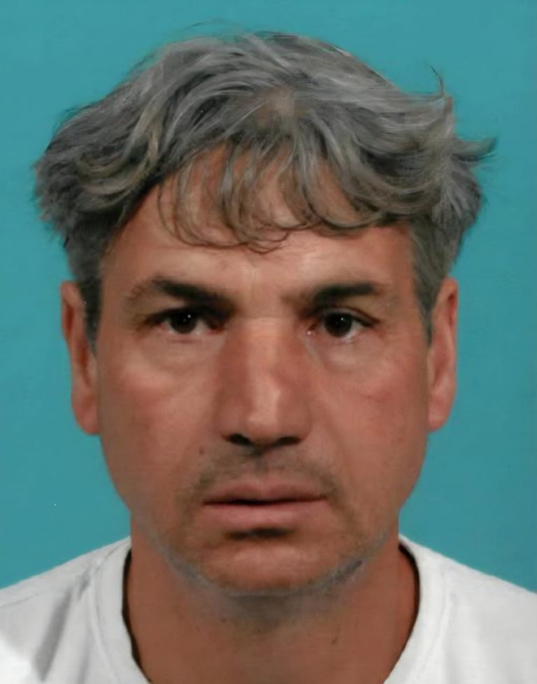 Dragiša Ibraimović