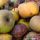 apples-7464059_1280