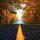 autumn-1758194_1280