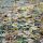 ground-frost-3826833_1280