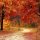 road-1072821_1280